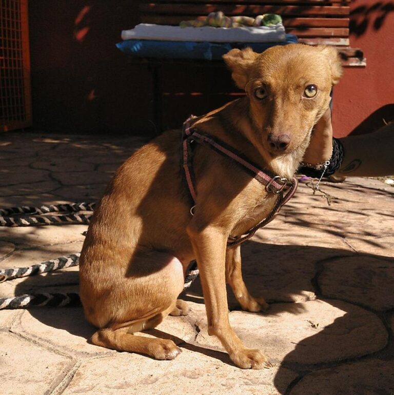 multimedia-foto65955-719-1