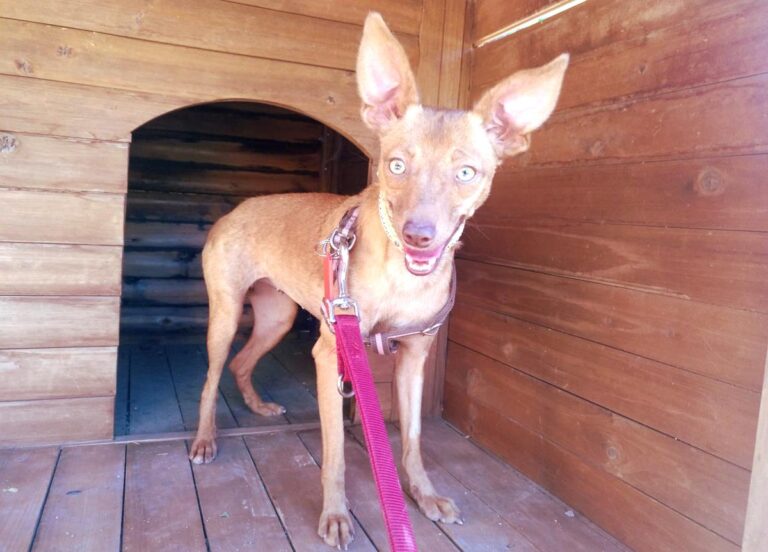 multimedia-foto65958-721-1