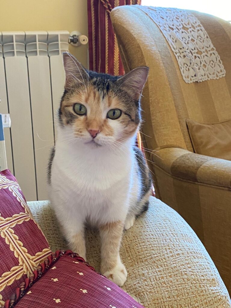 multimedia-foto65967-360-1