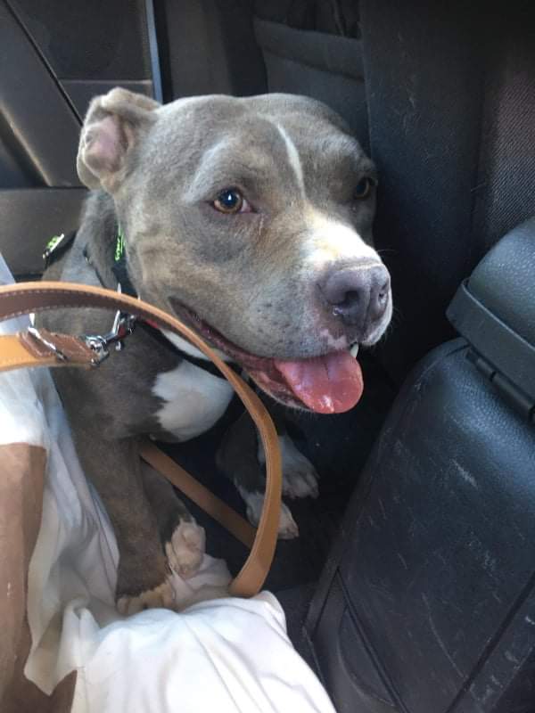 multimedia-foto65980-939-1