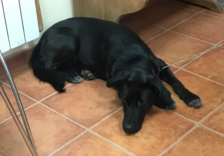 multimedia-foto65981-995-1