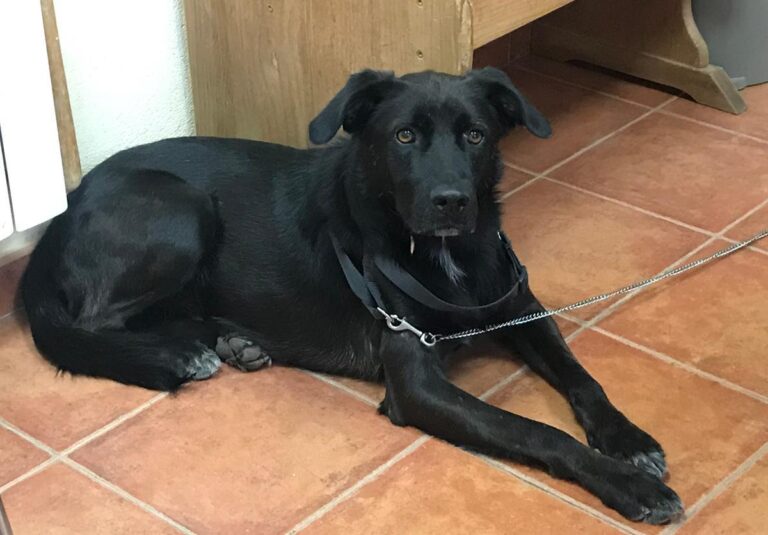 multimedia-foto65982-995-1