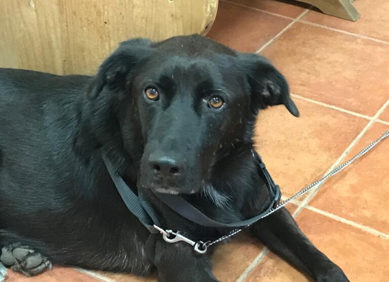 multimedia-foto65983-996-1