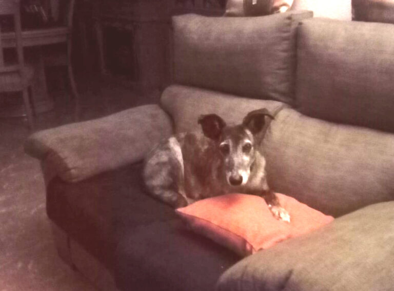 multimedia-foto65984-37-3