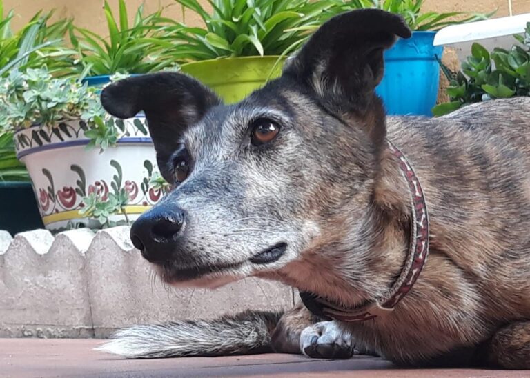 multimedia-foto65985-38-3