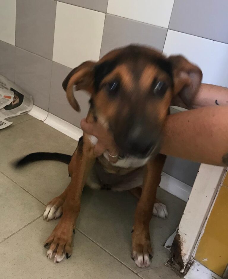 multimedia-foto66100-622-1