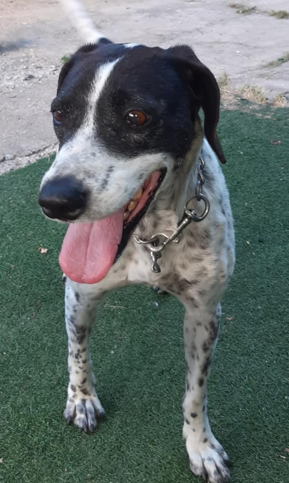 multimedia-foto66146-276-1