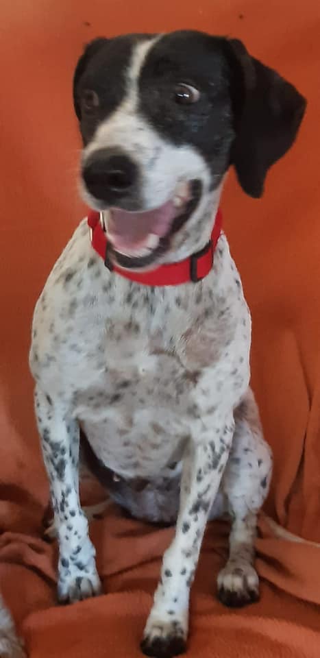 multimedia-foto66147-276-1