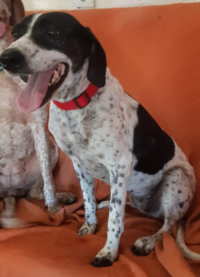 multimedia-foto66148-277-1