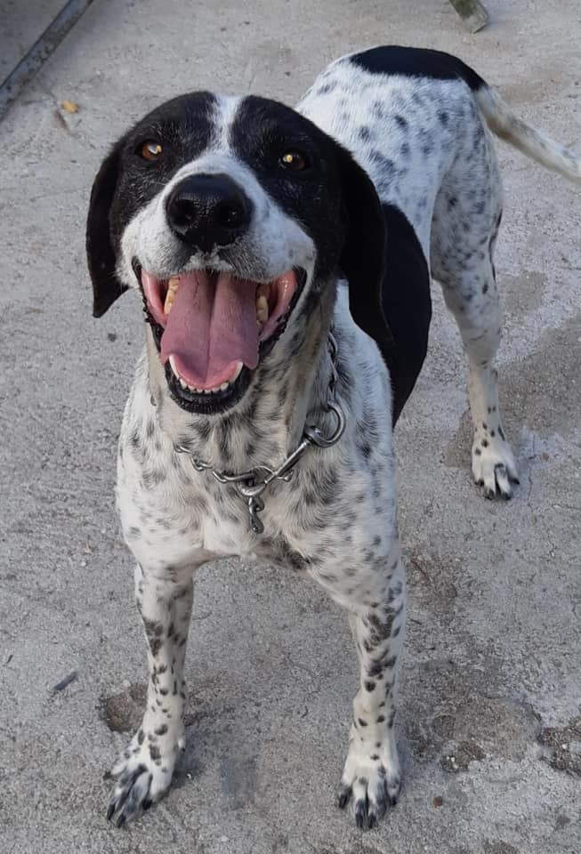 multimedia-foto66149-277-1