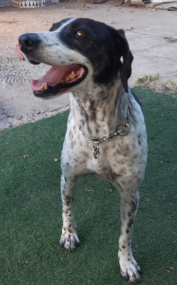 multimedia-foto66150-278-1