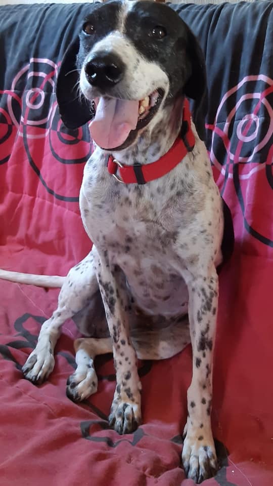 multimedia-foto66151-278-1