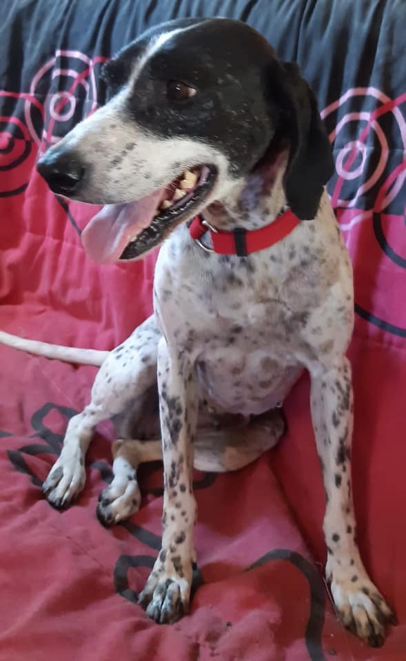 multimedia-foto66152-279-1