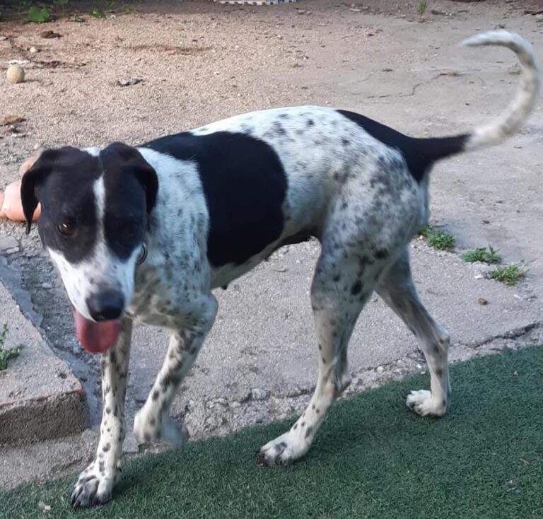 multimedia-foto66154-280-1