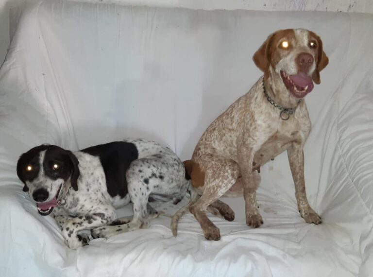 multimedia-foto66155-280-1