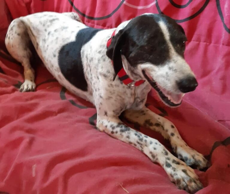 multimedia-foto66157-281-1