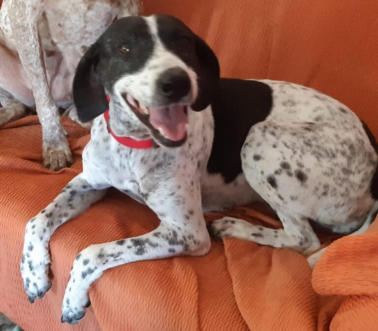 multimedia-foto66158-282-1