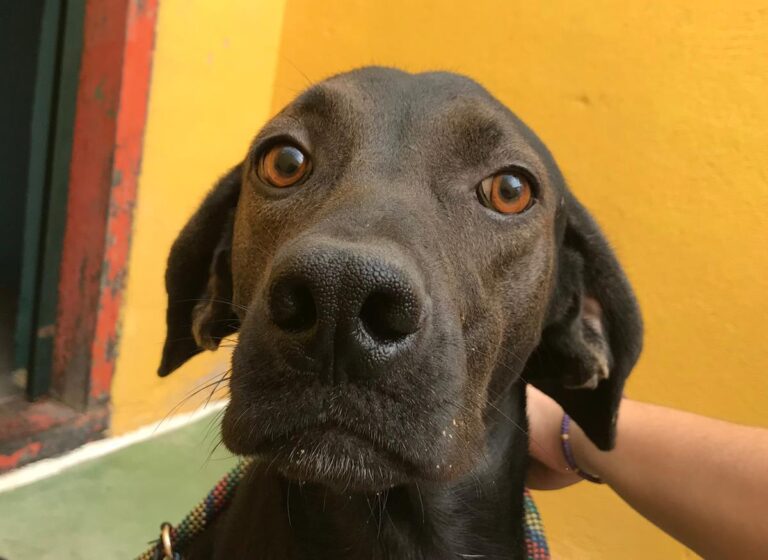 multimedia-foto66160-758-1