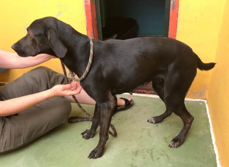 multimedia-foto66161-759-1