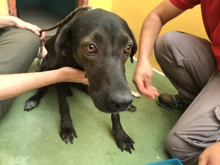 multimedia-foto66162-760-1