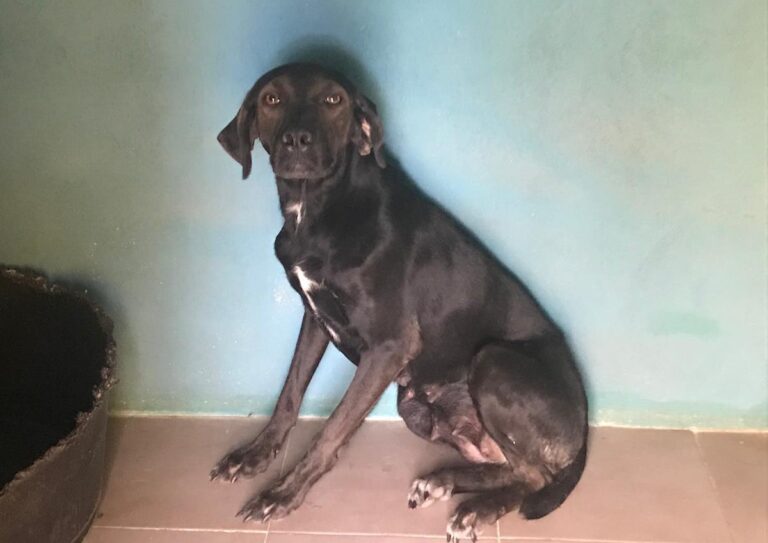 multimedia-foto66163-760-1