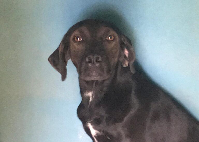 multimedia-foto66164-761-1