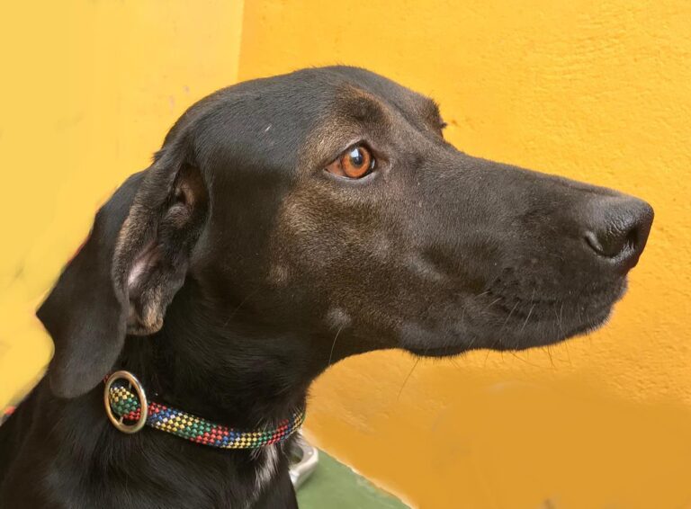 multimedia-foto66165-762-1