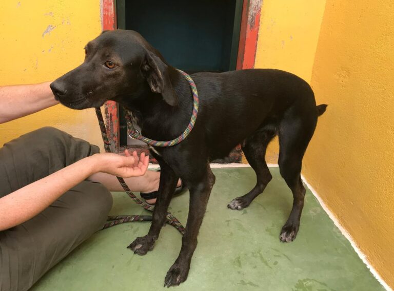 multimedia-foto66166-762-1