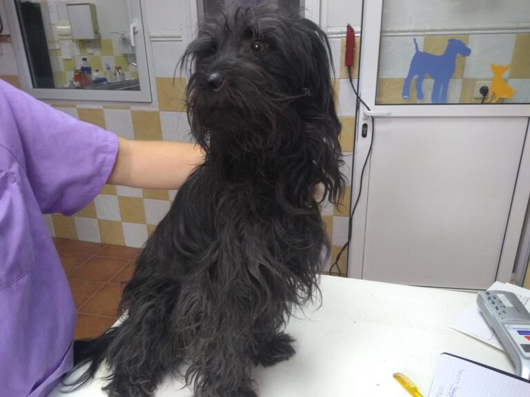 multimedia-foto66196-573-1