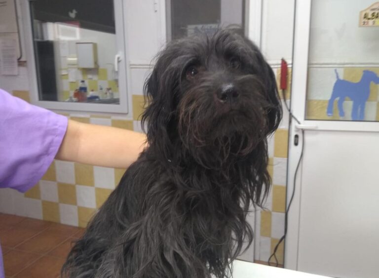 multimedia-foto66197-574-1