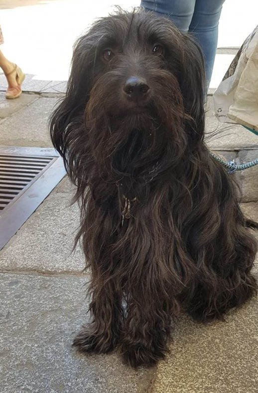 multimedia-foto66199-575-1