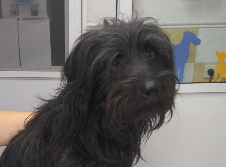 multimedia-foto66200-575-1