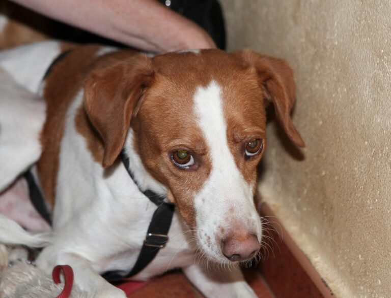 multimedia-foto66239-842-3