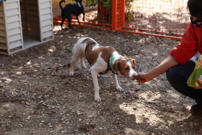 multimedia-foto66241-843-3