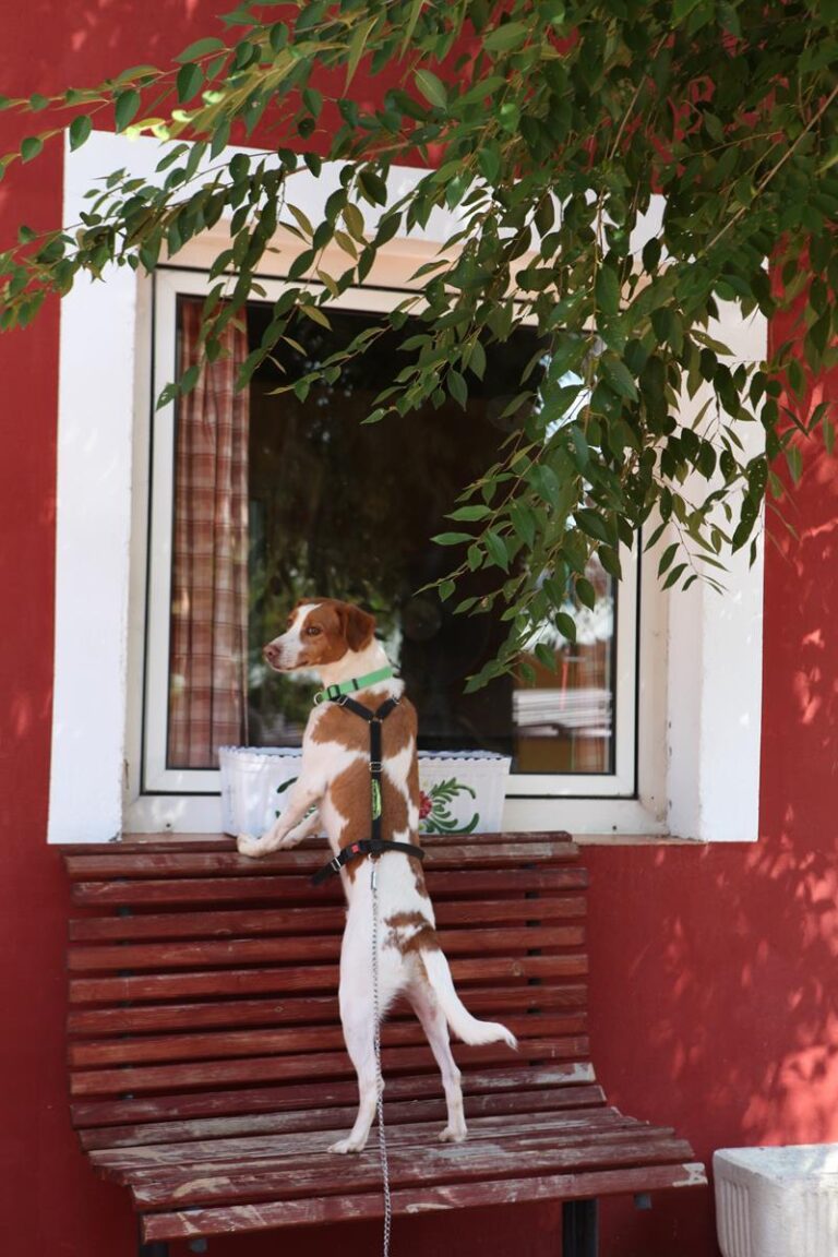 multimedia-foto66243-844-3