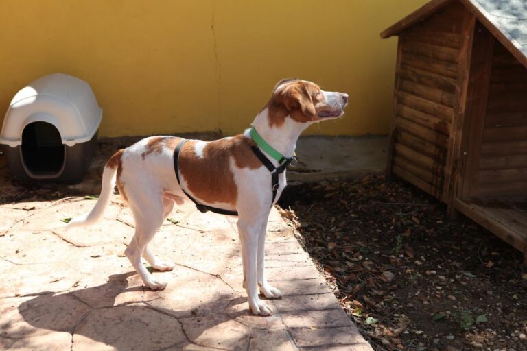 multimedia-foto66246-846-3