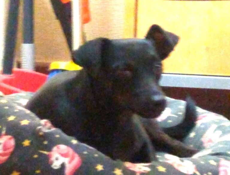 multimedia-foto66247-683-1