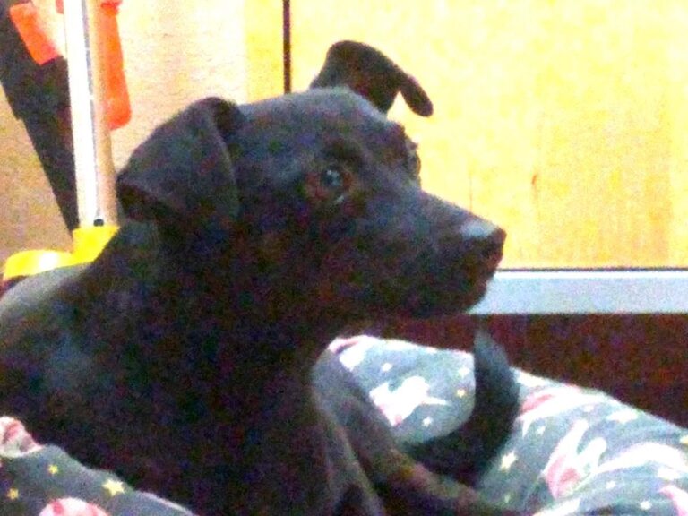 multimedia-foto66248-683-1