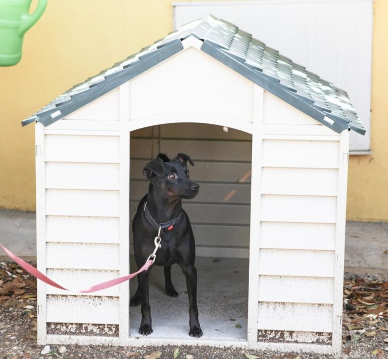 multimedia-foto66249-684-1