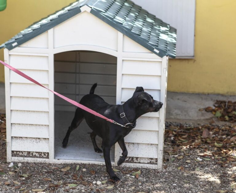 multimedia-foto66250-684-1