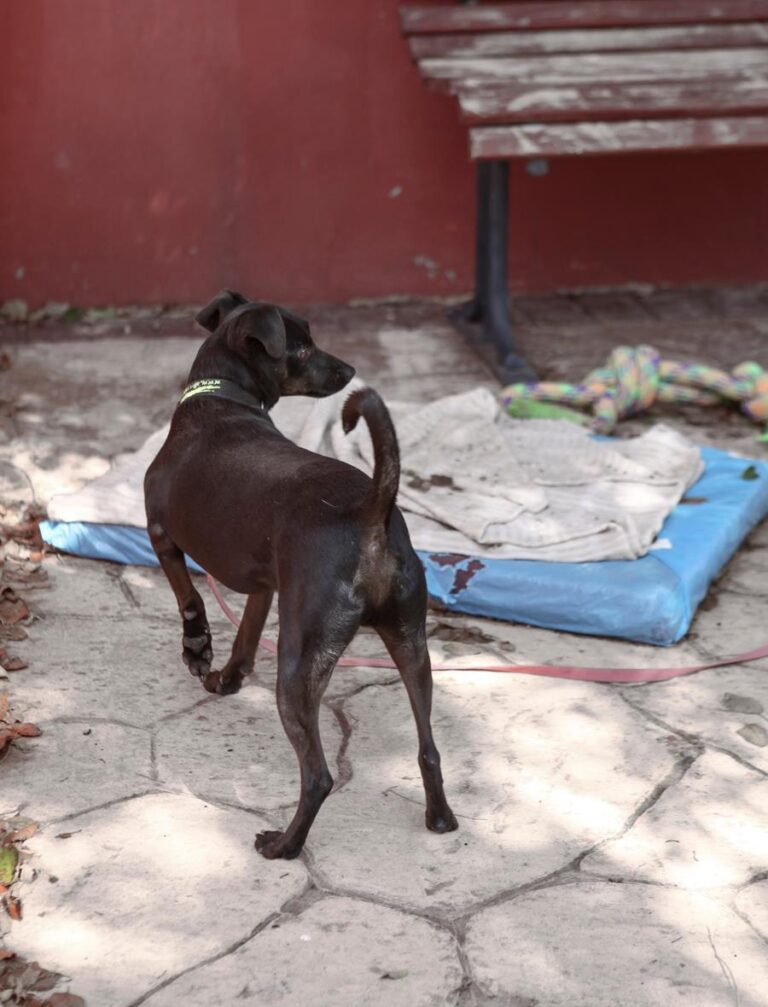 multimedia-foto66251-685-1