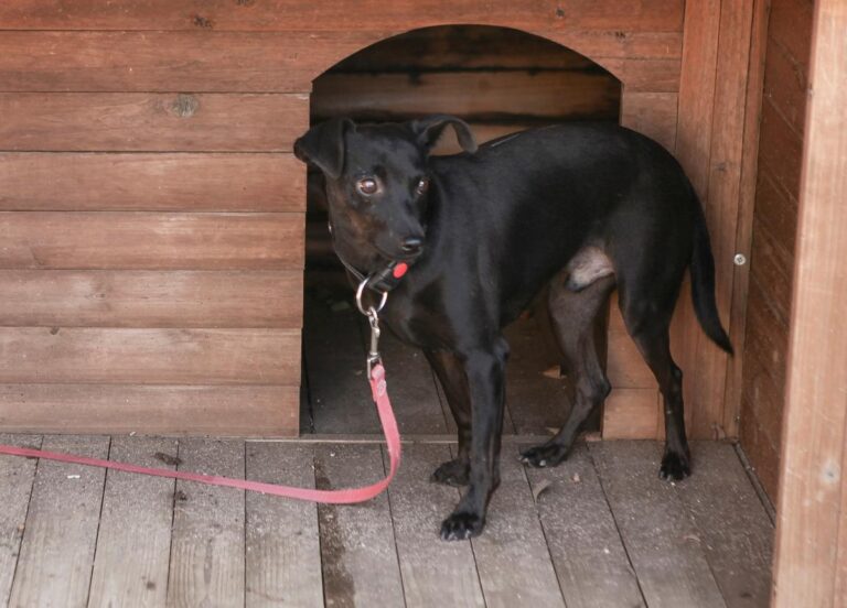 multimedia-foto66252-686-1