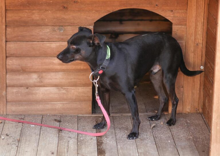 multimedia-foto66253-686-1