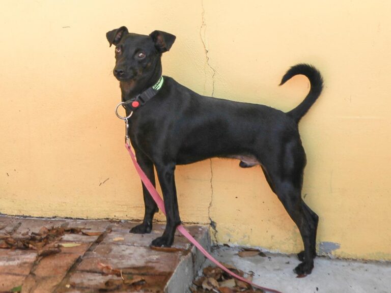 multimedia-foto66254-687-1