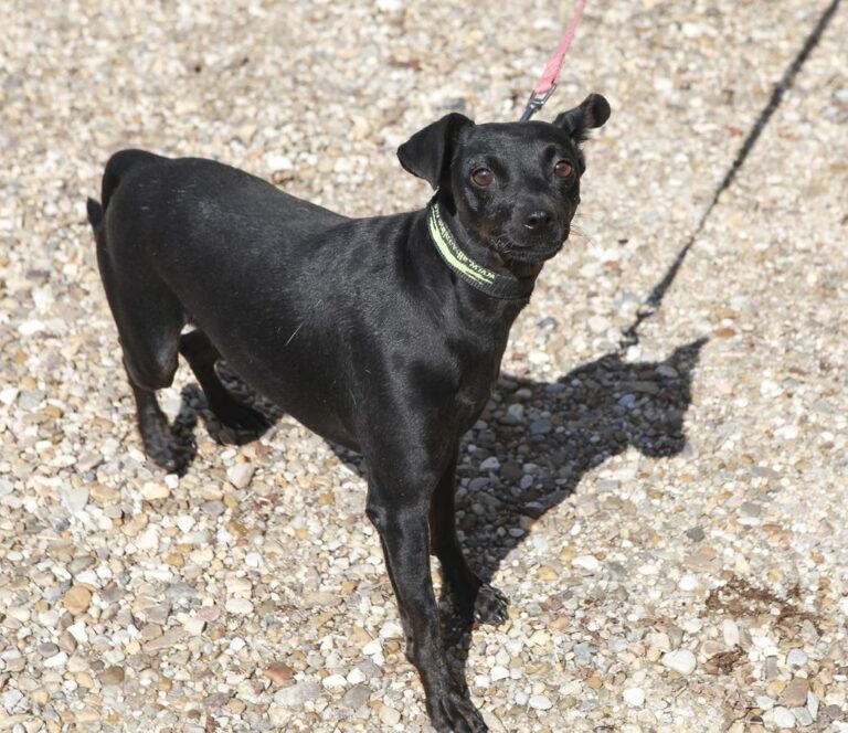 multimedia-foto66255-687-1