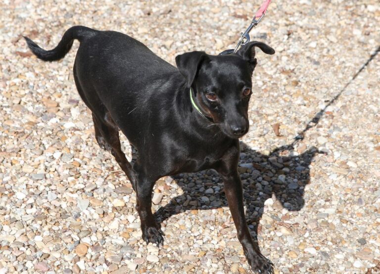 multimedia-foto66256-688-1