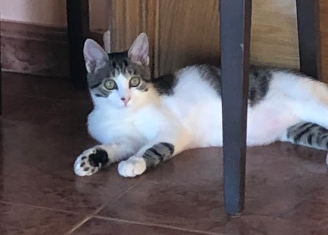 multimedia-foto66447-904-1