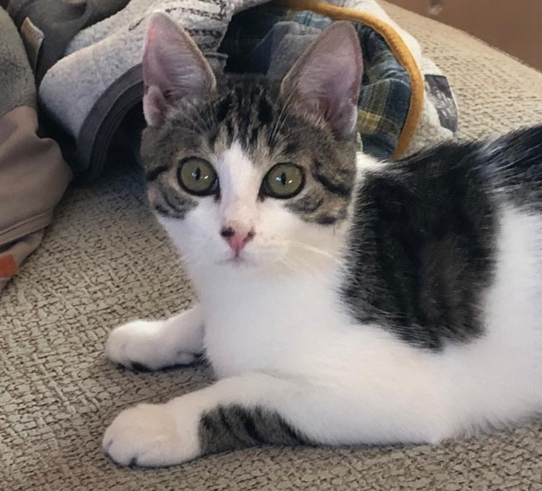 multimedia-foto66448-905-1