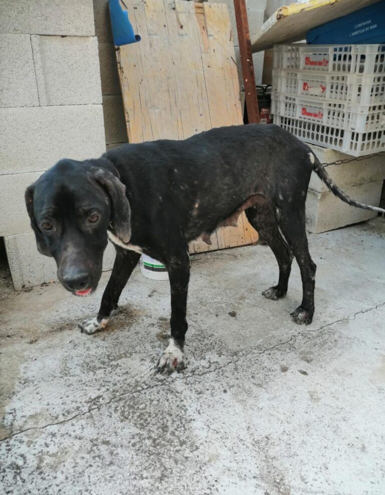 multimedia-foto66461-227-1