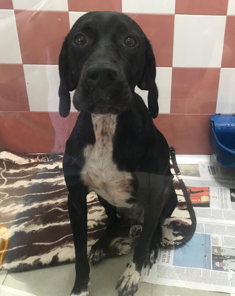 multimedia-foto66463-228-1